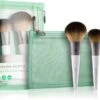 EcoTools On-The-Go Style 2 EcoTools On-The-Go Style -Estée Lauder Boutique ecotools on the go style kit de pinceaux de voyage 4