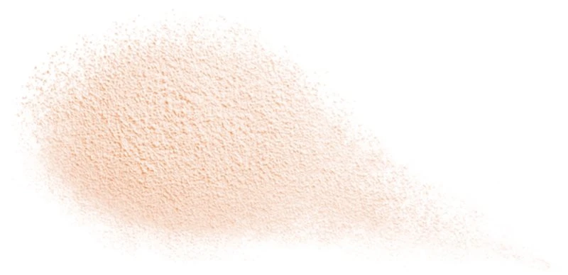 Shiseido Future Solution LX Total Radiance Loose Powder 4 Shiseido Future Solution LX Total Radiance Loose Powder – Image 2