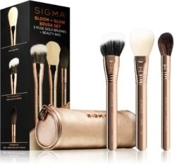 Sigma Beauty Bloom + Glow Brush Set