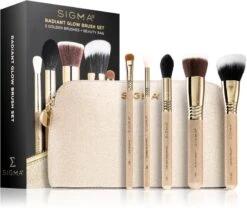 Sigma Beauty Radiant Glow Brush Set